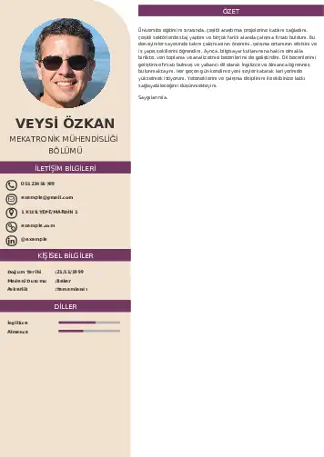 Mekatronik Mühendisliği Cv Örnekleri cv indir